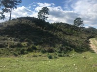 Fethiye sahil antalya yoluna sıfır 4550 metre arsa 10