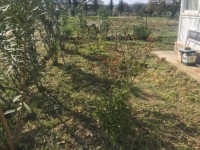 Antalya kaş Saklıkent bölgesinde müstakil sıfır ev 35