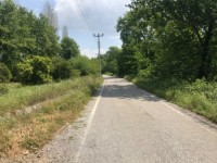 Köyceğizde göle 3700 metre portal bahçesi ve çiflik 18