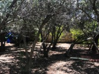 Fethiye Karaçulha ful Deniz manzaralı 541 metre arsa 18