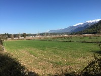 Saklıkent merkezde zeytinlik 5