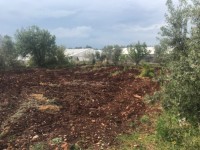 Saklıkentte müstakil iki katlı ev 4