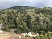 Ölüdeniz KaraağAç ta Deniz manzaralı arsa 10