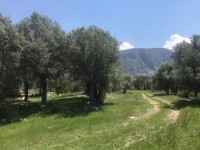 Fethiye saklıkentte 35 dönüm arazi 25