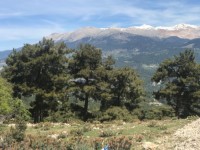 Antalya kaş yayla aklarda müstakil ev 7