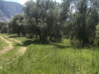 Fethiye saklıkentte 35 dönüm arazi 16