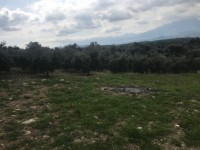 Saklıkette anayola sıfır 3206 metre arsa 3