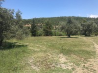 Fethiye saklıkentte 35 dönüm arazi 8