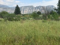 Fethiye saklıkette 74 dönüm organik bahçe 45