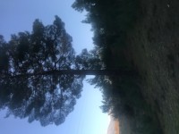 Seydikemer Seydilerde 6423 metre zeytinlik 12