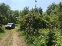 Köyceğizde göle 3700 metre portal bahçesi ve çiflik 2