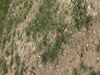 Fethiye saklıkentte 35 dönüm arazi 5