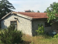 Fethiye saklıkette 74 dönüm organik bahçe 10