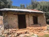 Fethiye Karadere ünlü Patara pilajına yakın 78 dönüm Zeytilik 3