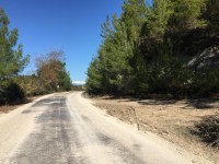 Saklıkent merkezde zeytinlik 6