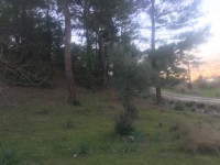 Seydikemer Seydilerde 6423 metre zeytinlik 11