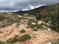 Ölüdeniz KaraağAç ta Deniz manzaralı arsa 4