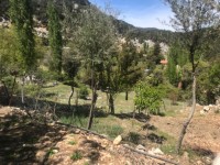 Antalya kaş yayla aklarda müstakil ev 8
