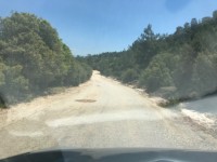 Fethiye Karadere ünlü Patara pilajına yakın 78 dönüm Zeytilik 2