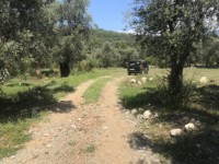 Fethiye saklıkentte 35 dönüm arazi 36