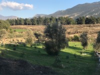 Fethiye saklkentte 3400 metre içinde zeytinlik 13