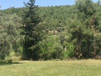 Fethiye saklıkentte 35 dönüm arazi 15