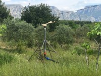 Fethiye saklıkette 74 dönüm organik bahçe 46