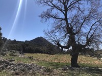 Ölüdeniz KaraağAç ta Deniz manzaralı arsa 7