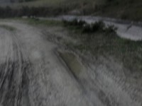 Seydikemer Seydilerde 6423 metre zeytinlik 19