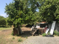 Köyceğizde çiflik ve bahçe 9