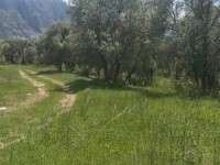 Fethiye saklıkentte 35 dönüm arazi 12