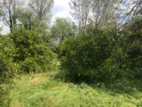 Köyceğizde göle 3700 metre portal bahçesi ve çiflik 13