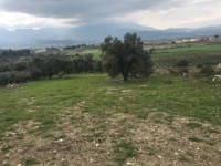 Fethiye saklıkette manzaralı 2078 metre arsa 11