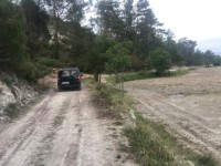 Fethiye saklıkette 74 dönüm organik bahçe 37