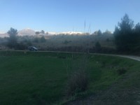 Seydikemer Seydilerde 6423 metre zeytinlik 15