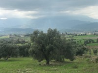 Fethiye saklıkette manzaralı 2078 metre arsa 9