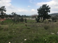 Saklıkette anayola sıfır 3206 metre arsa 5