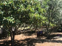 Fethiye Karaçulha ful Deniz manzaralı 541 metre arsa 17