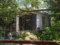 Köyceğizde çiflik ve bahçe 4