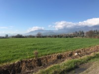 Saklıkent güneşlide 16 dönüm  arazi 6