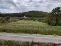 Saklıkette 27250 metre zeytinlik