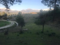 Seydikemer Seydilerde 6423 metre zeytinlik 8