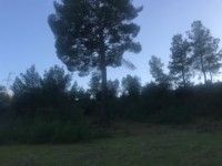 Seydikemer Seydilerde 6423 metre zeytinlik 17