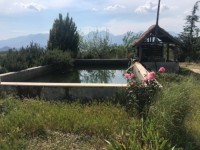 Fethiye saklıkette 74 dönüm organik bahçe 3