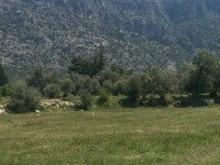 Fethiye saklıkentte 35 dönüm arazi 4