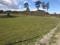 Fethiye sahil antalya yoluna sıfır 4550 metre arsa 8