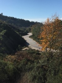 Saklıkent merkezde zeytinlik 7