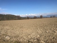 Saklıkent güneşlide 16 dönüm  arazi 2