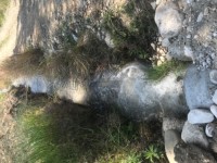 Fethiye saklıkentte 35 dönüm arazi 33