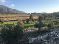 Fethiye saklkentte 3400 metre içinde zeytinlik 3